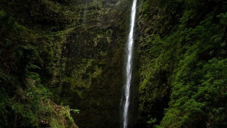 Queimadas Caldeirao Verde Full day hike - Caldeirão Verde is the reward at the end