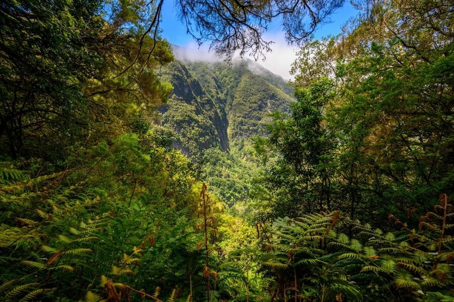 Queimadas Caldeirão Verde Madeira Island Walk - Why the Queimadas to Caldeirão Verde walk is worth a full day
