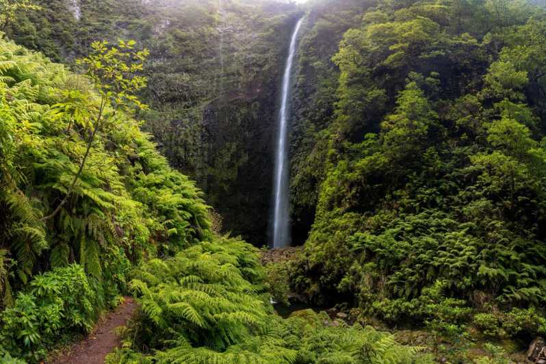 Queimadas Caldeirão Verde Madeira Island Walk - The 65-minute ride from Funchal to Queimadas