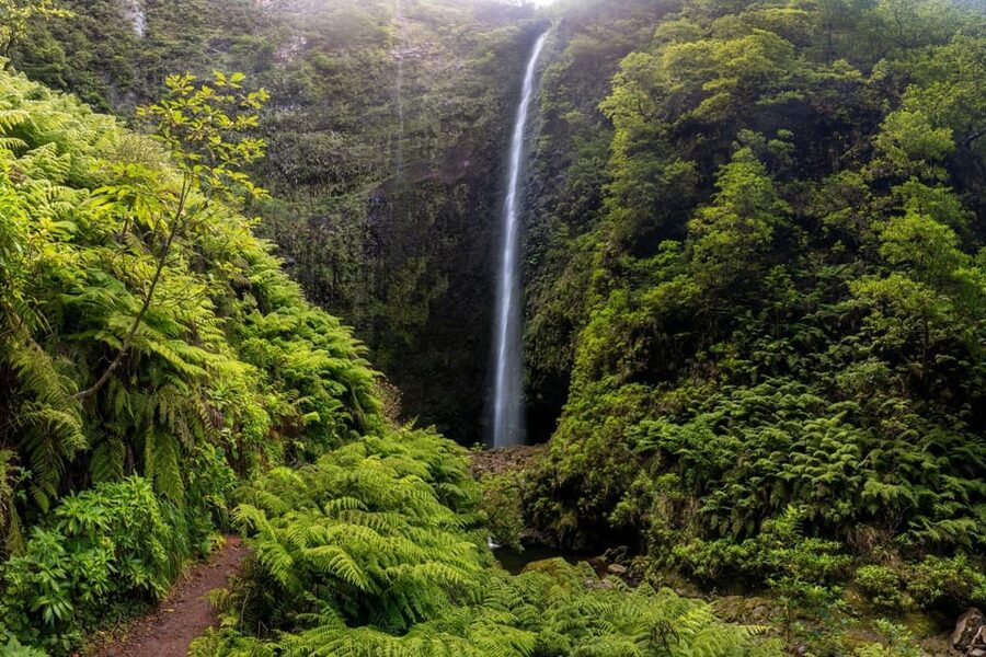 Queimadas Caldeirão Verde Madeira Island Walk - Following the levada through Laurisilva forest