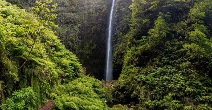 Queimadas Caldeirão Verde Madeira Island Walk - What you receive for $45