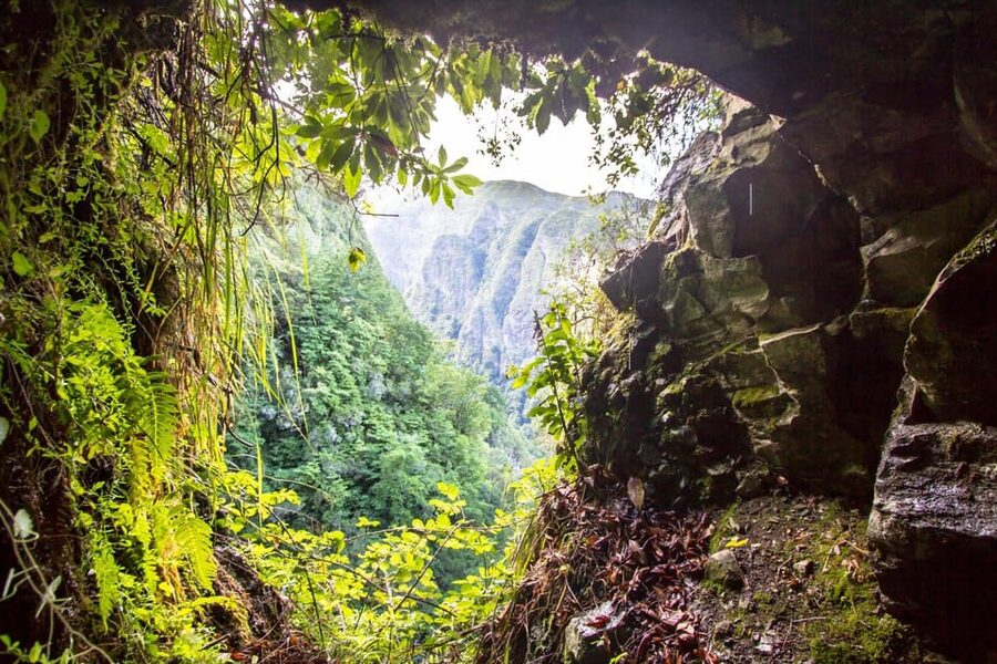 Queimadas Caldeirão Verde Madeira Island Walk - Starting at Parque Florestal das Queimadas