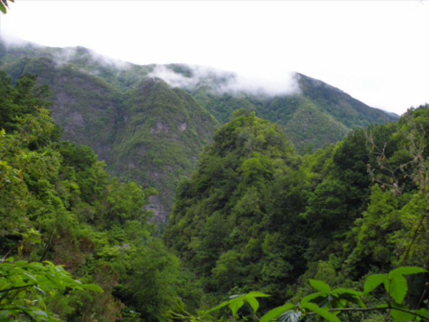 Queimadas Caldeirão Verde Walking tour with guide - Key points to know before you book