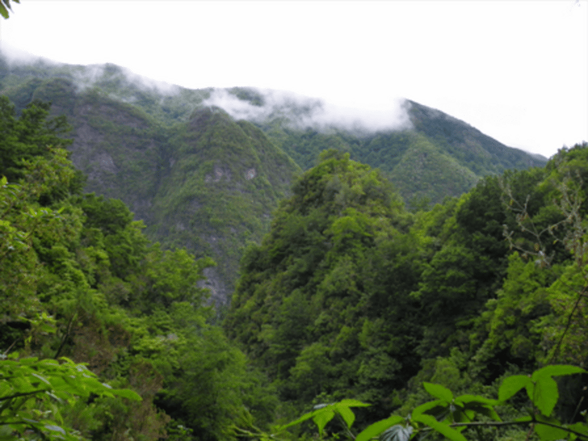 Queimadas Caldeirão Verde Walking tour with guide - What the Caldeirão Verde walk is really like
