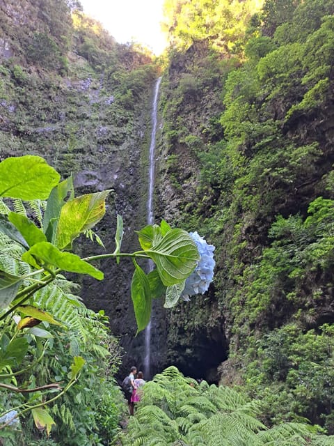 Queimadas Caldeirão Verde Walking tour with guide - The crowd issue and how to handle it