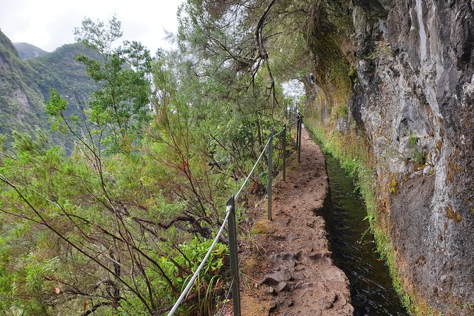 Queimadas-Caldeirão Verde - Reaching the Caldeirão Verde lagoon