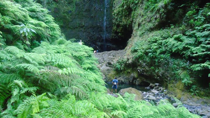 Queimadas Natural Park 5-Hour Guided Hike - Key points to know before booking