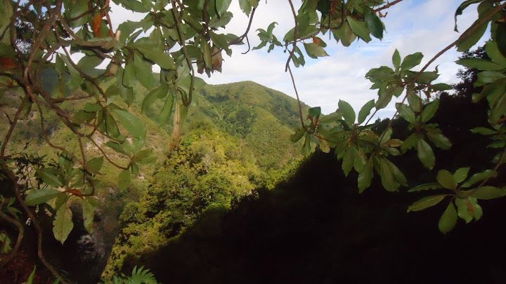 Queimadas Natural Park 5-Hour Guided Hike - Waterfalls, craters, and mountain weather