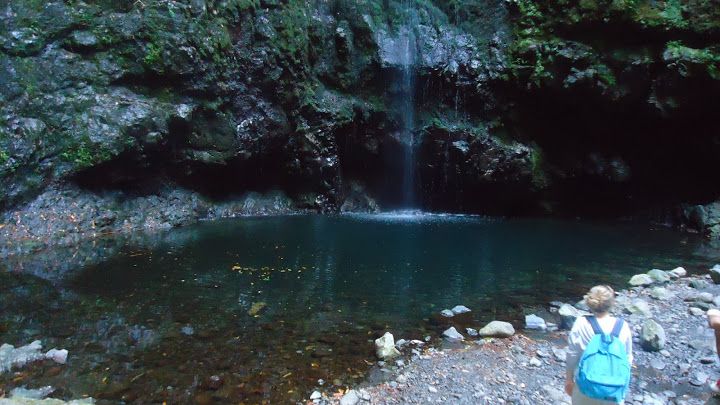 Queimadas Natural Park 5-Hour Guided Hike - Who should book this hike?