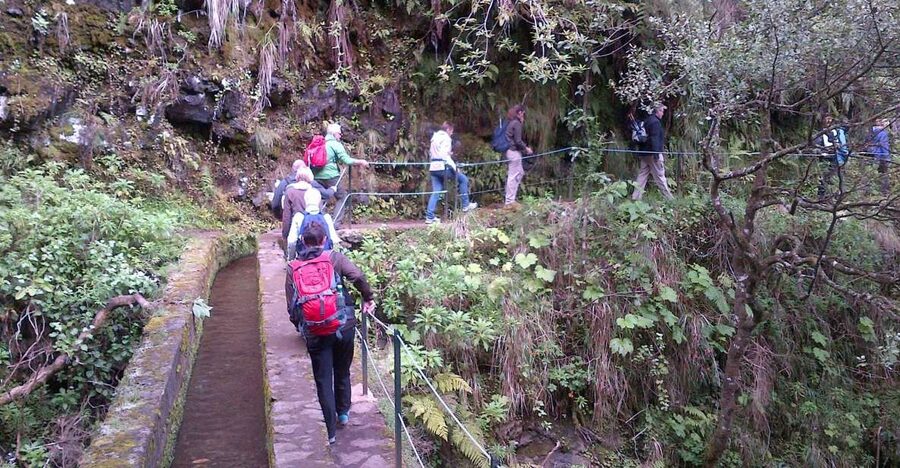 Queimadas Natural Park 5-Hour Guided Hike - Queimadas Natural Park sets the tone