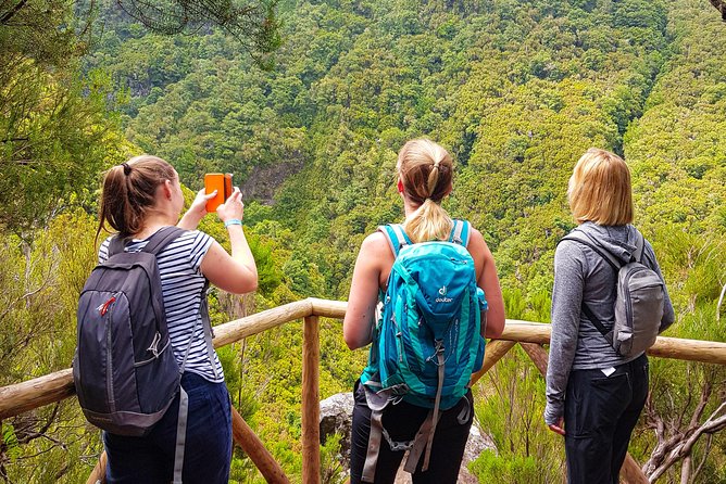Rabaçal 25 Fontes Levada Walk in Small Groups - Key points to know before booking
