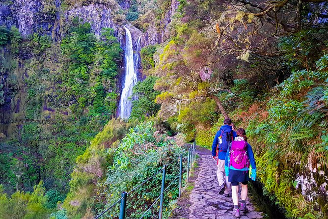 Rabaçal 25 Fontes Levada Walk in Small Groups - Why this Madeira walk is worth your time