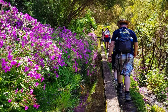 Rabaçal 25 Fontes Levada Walk in Small Groups - The guides make the biggest difference