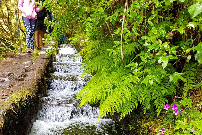 Rabaçal 25 Fontes Levada Walk in Small Groups - The 8:30 a.m. pickup from Funchal