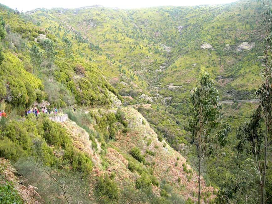 Rabaçal: 25 Fontes & Risco Levada Transfer Self-guided Hike - Why the 25 Fontes and Risco walk is so popular