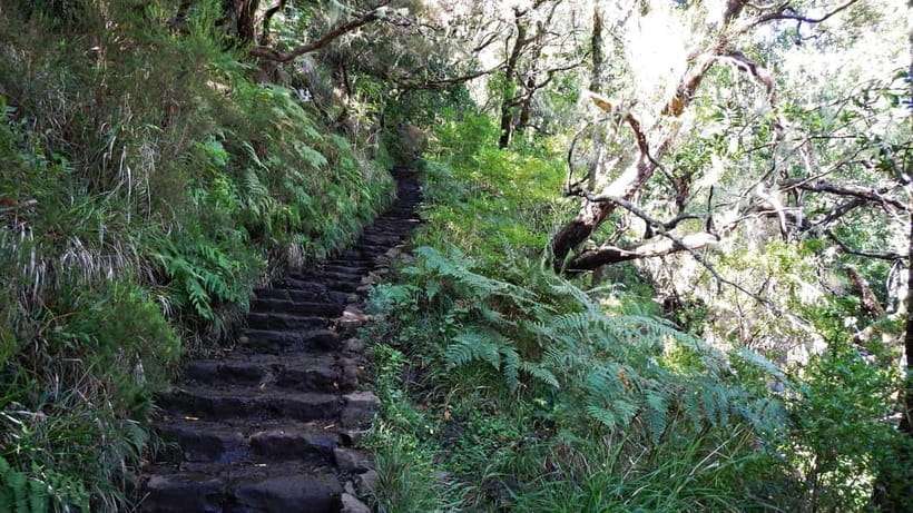 Rabaçal: 25 Fontes & Risco Levada Transfer Self-guided Hike - Starting at the 25 Fontes parking area