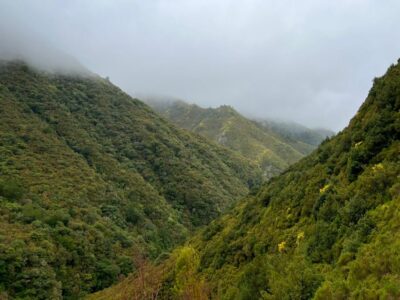 Rabaçal: 25 Fontes & Risco Levada Transfer Self-guided Hike