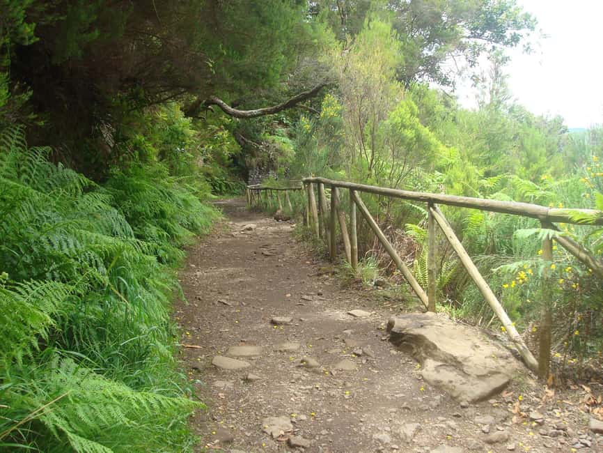 Rabaçal: 25 Fontes & Risco Levada Transfer Self-guided Hike - Choosing between 25 Fontes and Risco