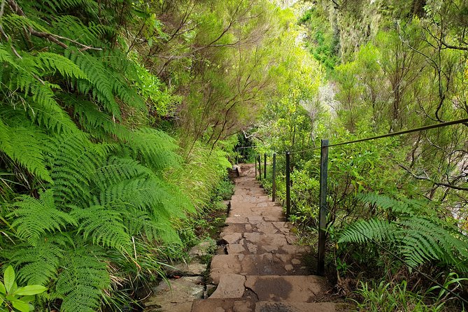 Rabaçal - 25 Fonts - Following the Levada do Rabaçal into Madeira’s forest
