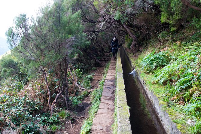 Rabaçal Hiking Tour - From your Funchal hotel to the Rabaçal car park