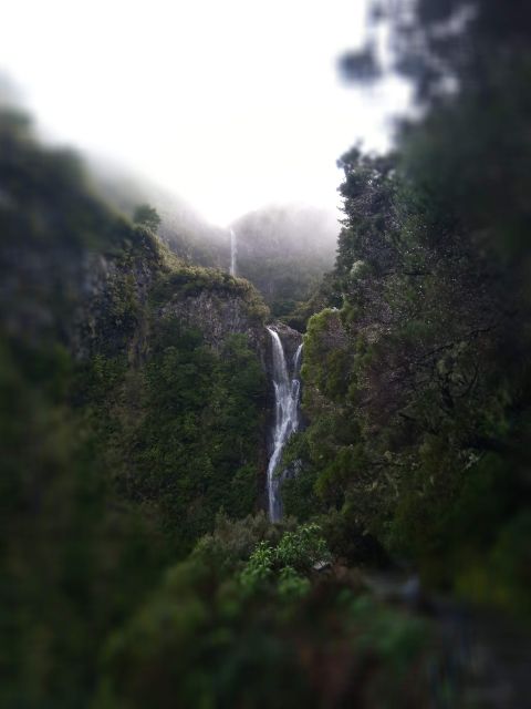 Rabaçal: Lagoa do Vento, Levada Risco and Levada 25 Fontes - The 75-minute ride from Madeira