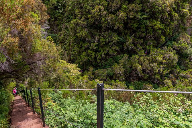 Rabaçal - Levada das 25 Fontes - Starting from Funchal at 8:00 a.m.