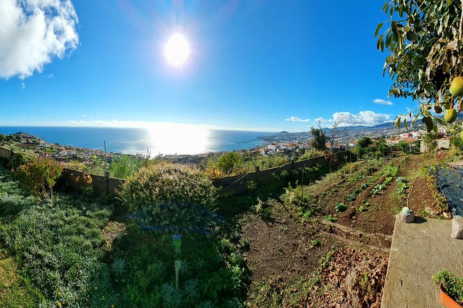 "Re-Canto" Farm-to-Table with Stunning Views at Madeira - Vegetarian and Vegan Diners Have Options