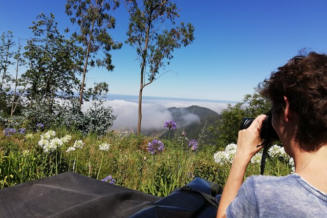 Real Life, Mountains & Sea Cliffs + Lunch + Levada walk - 6 hours - Why this private Madeira tour works well
