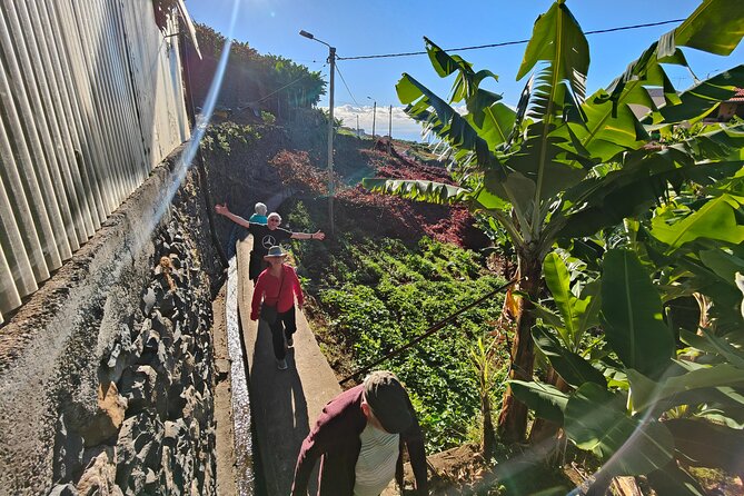 Real Life, Mountains & Sea Cliffs + Lunch + Levada walk - 6 hours - Jardim da Serra, cherries, and a local drink