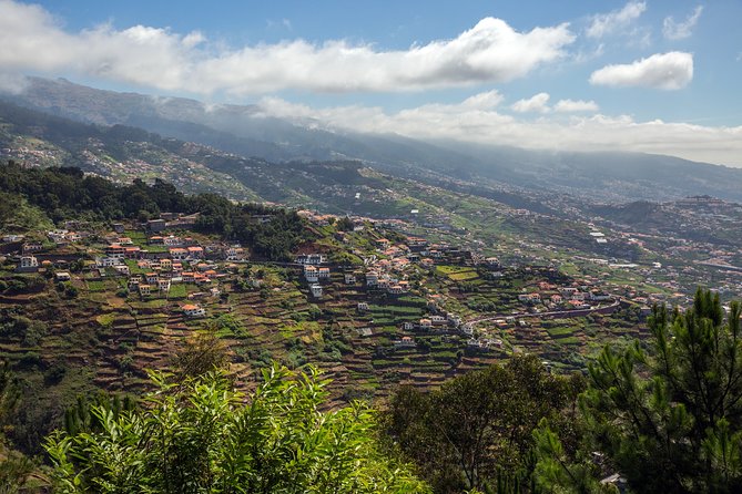 Real Life, Mountains & Sea Cliffs (Nun´s Valley View) - Half Day 4x4 Tour - Fajã das Galinhas at about 700 meters
