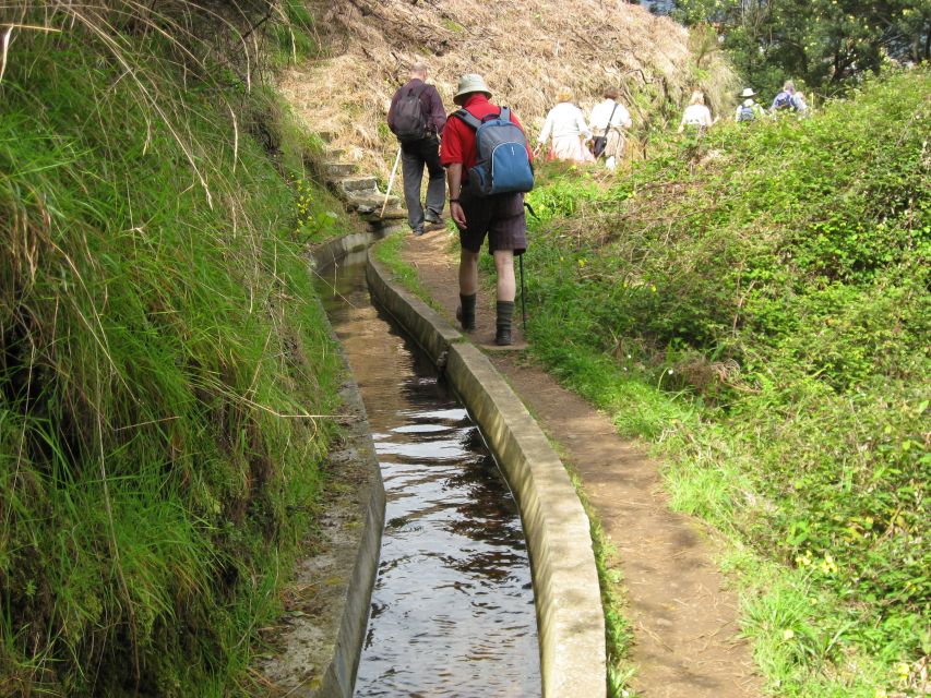 Referta & Castelejo: Half-Day Morning Walk - Starting beside the Levada do Castelejo