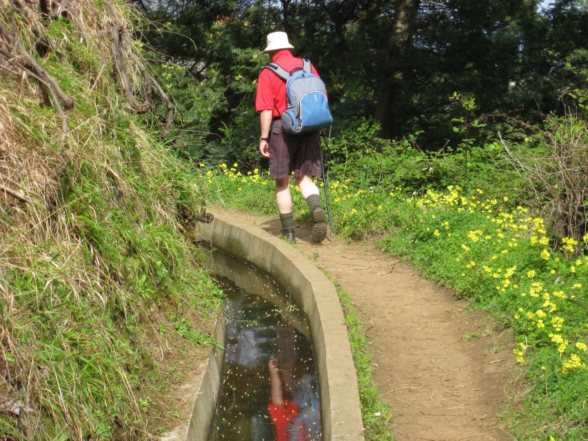 Referta & Castelejo: Half-Day Morning Walk - What the guide adds to the route