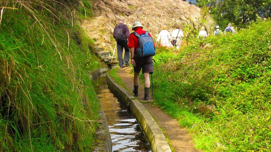 Referta / Castelejo - Levada Walk - Why this levada walk is a good introduction to Madeira