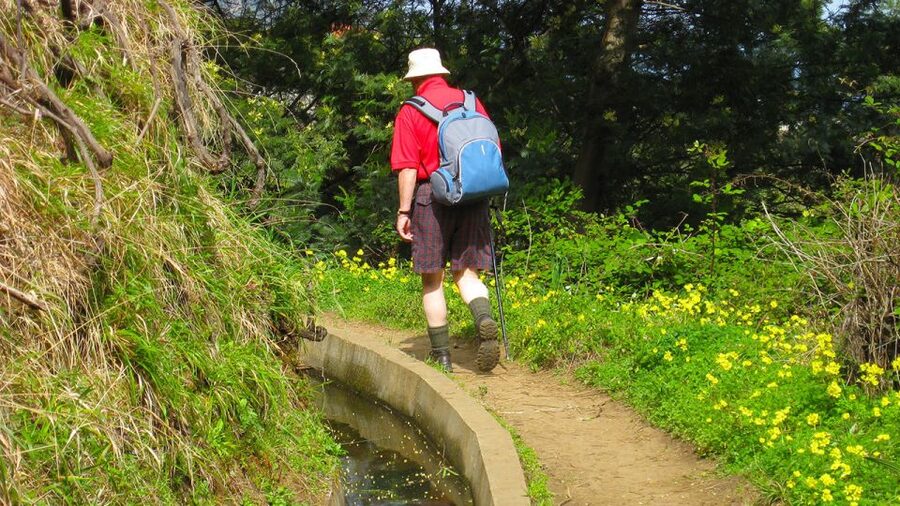 Referta / Castelejo - Levada Walk - Plants, trees, and the useful work of the levadas