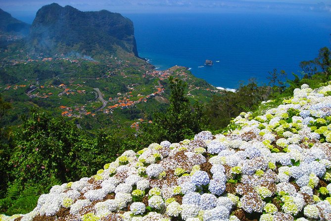 Referta Castelejo Levada Walk from Funchal - Why this walk feels different from a standard Madeira outing
