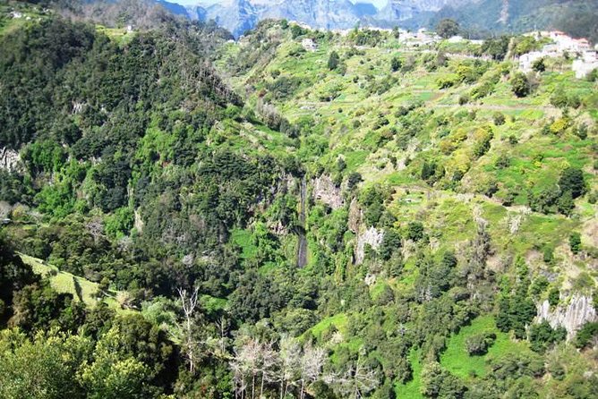 Referta Castelejo Levada Walk from Funchal - Following Levada do Castelejo through Refertas