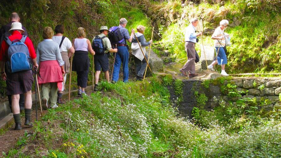Referta / Castelejo - Levada Walk - Starting with a few steps, then settling into a flat path
