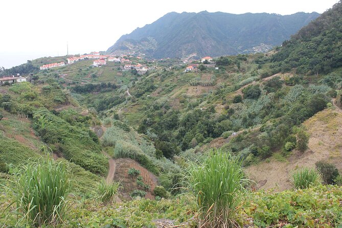 Referta - Castelejo Walk - Why this short levada walk works so well