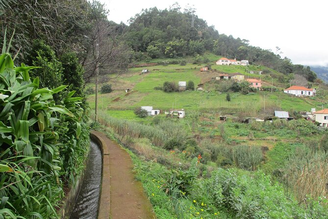 Referta - Castelejo Walk - Walking beside the Levada da Referta