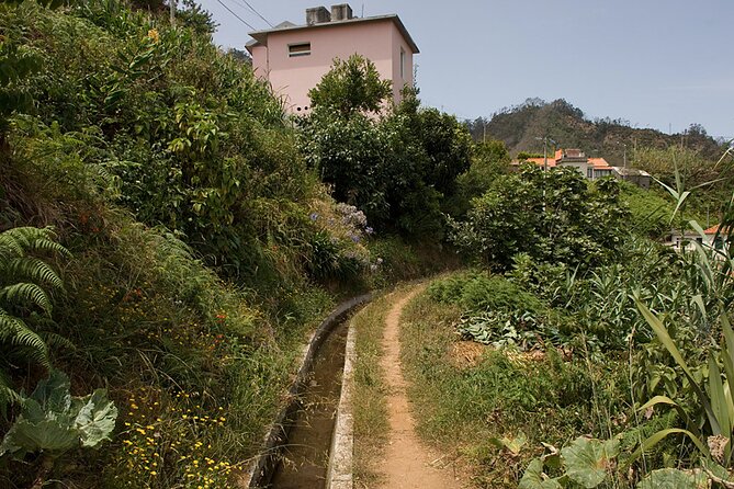 Referta - Castelejo Walk - The guide’s role: plants, scents, and local knowledge