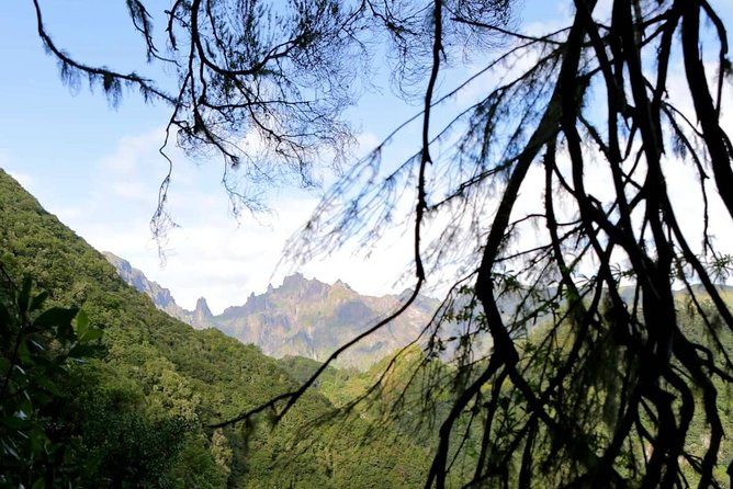 Ribeiro Frio - Portela - Why Ribeiro Frio is a fine escape from Funchal