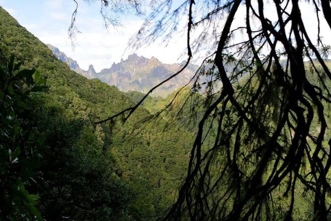 Ribeiro Frio - Portela - How the guides handle Madeira’s changeable weather
