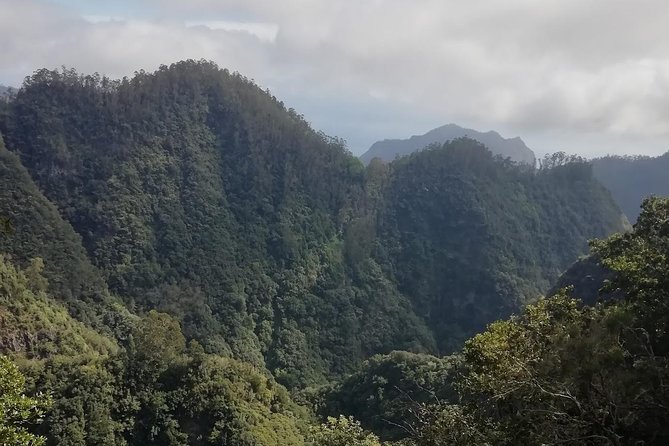 Ribeiro Frio - Portela - The end of the four-hour walk