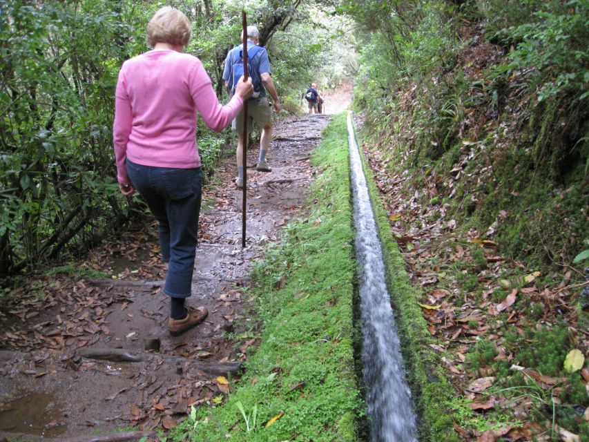 Ribeiro Frio / Portela - Levada Walk - Key points to know before you book