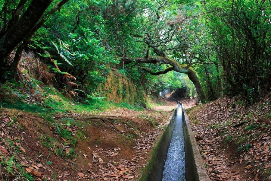 Ribeiro Frio / Portela - Levada Walk - Booking details worth handling early