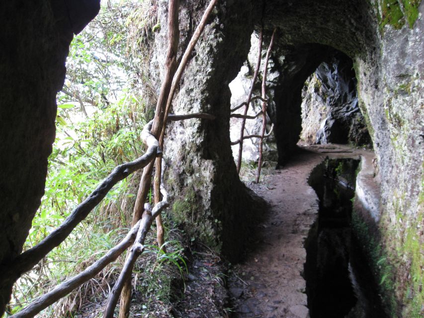Ribeiro Frio / Portela - Levada Walk - Why this Ribeiro Frio walk is so popular