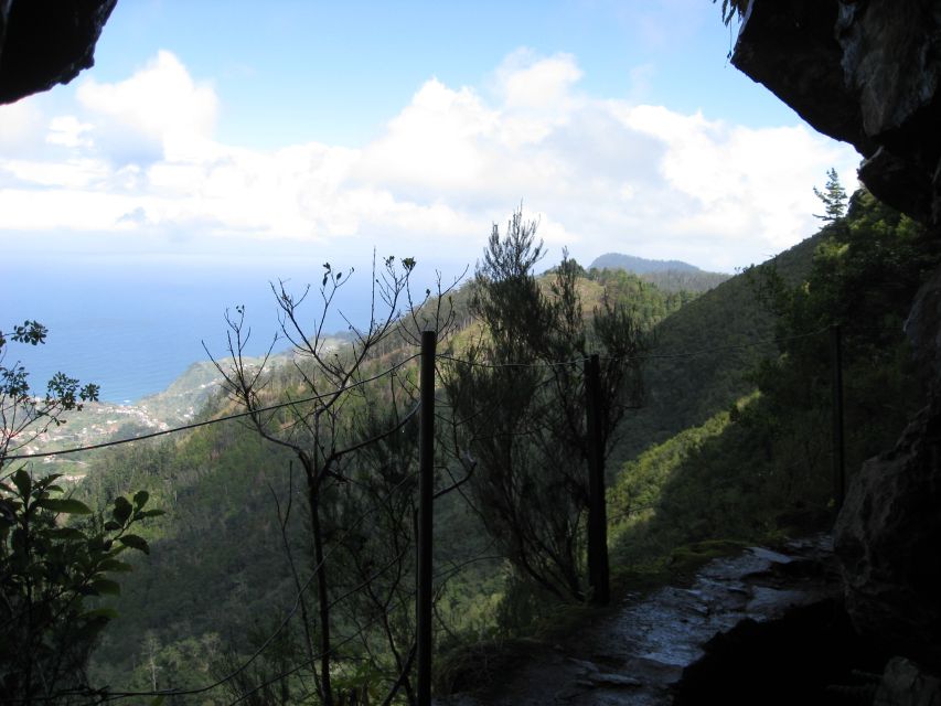 Ribeiro Frio / Portela - Levada Walk - The nature lesson along the route