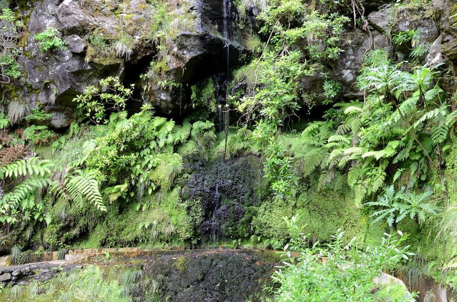 Ribeiro Frio / Portela - Levada Walk - Lamaceiros and the view toward Porto da Cruz