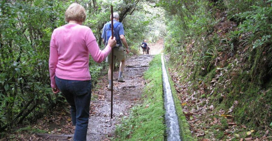 Ribeiro Frio / Portela - Levada Walk - What the $50 price includes