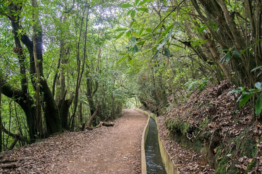 Ribeiro Frio / Portela - Levada Walk - Timing, languages, and the pace of the day